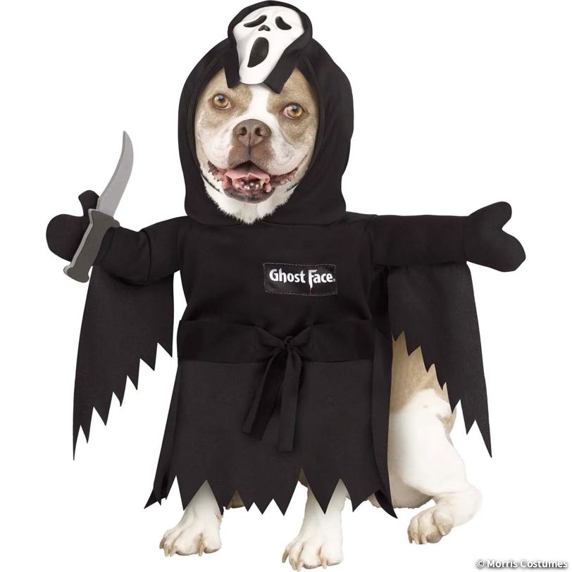 Ghost Face Pet Costume with Mask, Extra Large