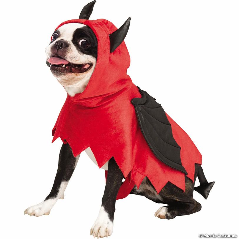 Pet Poncho Devil Doggie Halloween Costume, Large/Extra Large