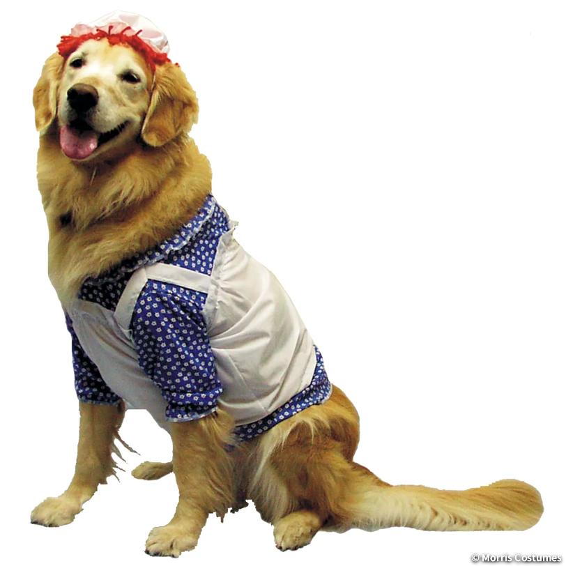 Raggedy Ann Pet Costume, Medium