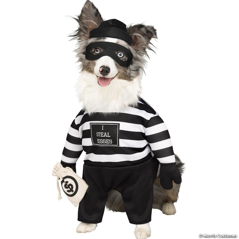 Robber Pup Pet Dog Costume, Large
