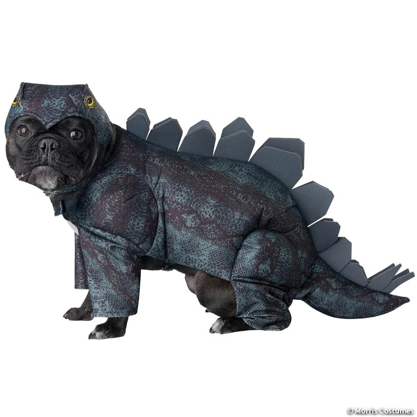 Stegosaurus Dog Costume, Medium