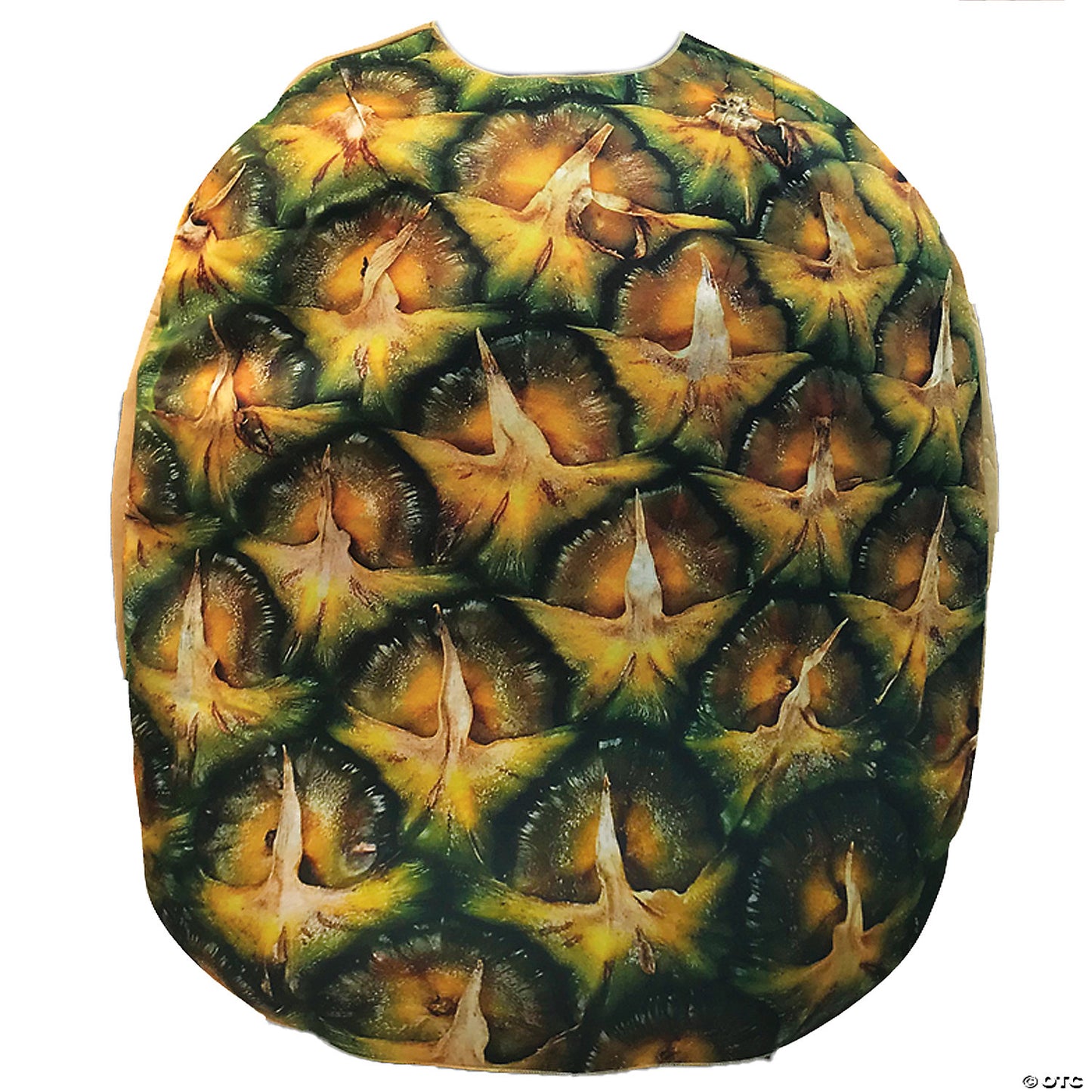 Adult Pineapple Costume