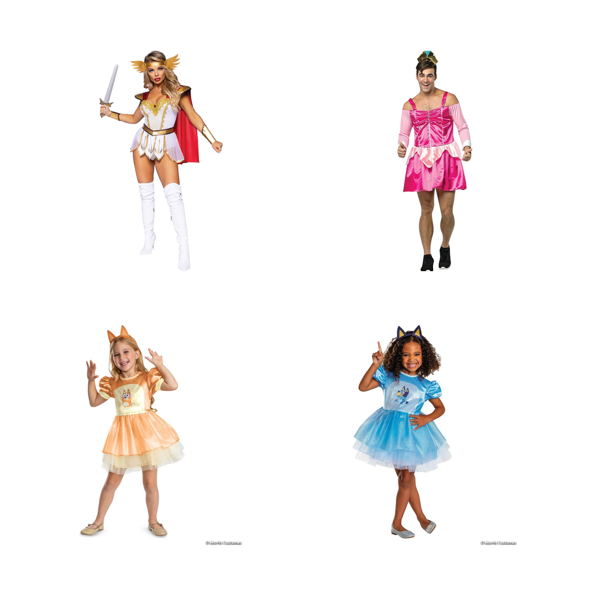 Princess Costumes and Accessories