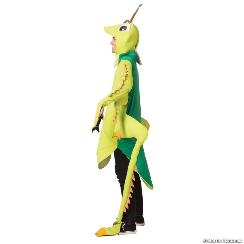 Adult Grasshopper Costume