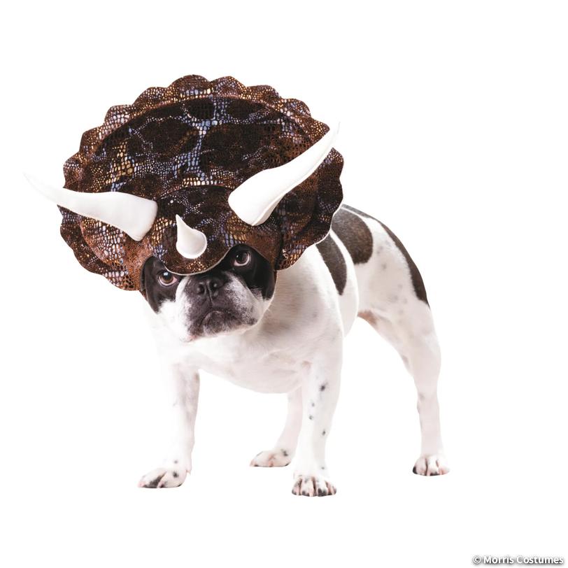Animal Planet Triceratops Dog Costume, Medium