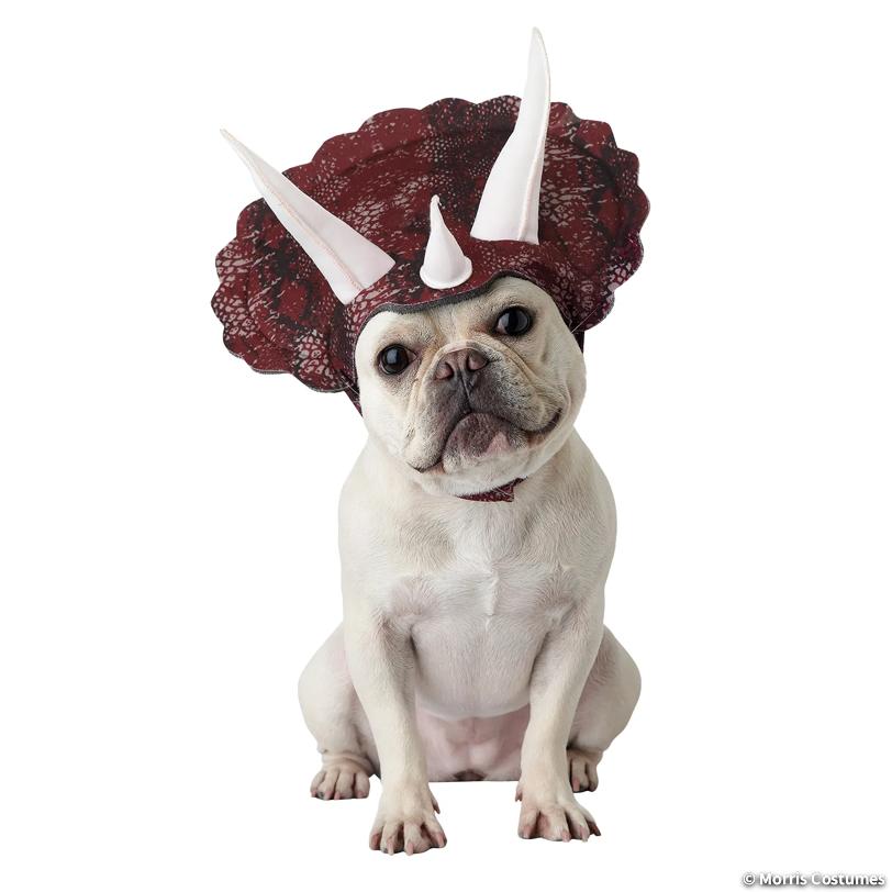 Animal Planet Triceratops Dog Costume, Large