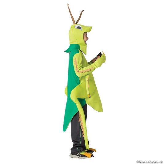 Kids Grasshopper Costume — view 2