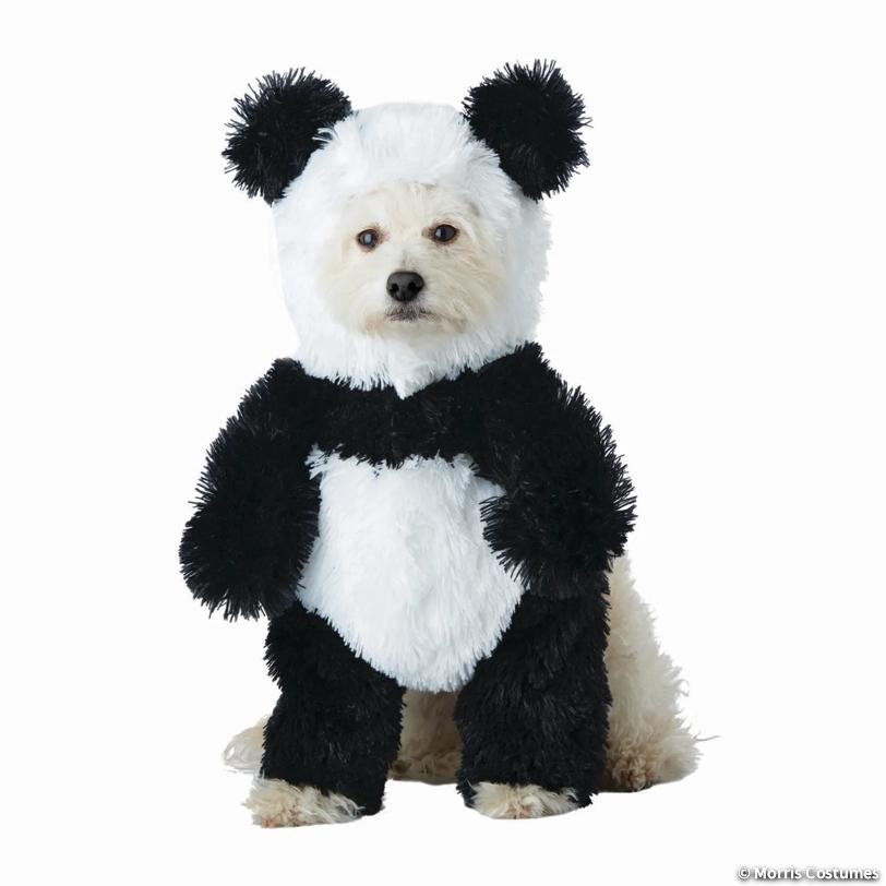 Panda Pouch Dog Costume, Large