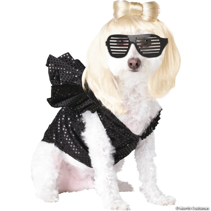Pop Sensation Pet Costume, Medium