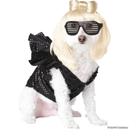 Pop Sensation Pet Costume, Medium