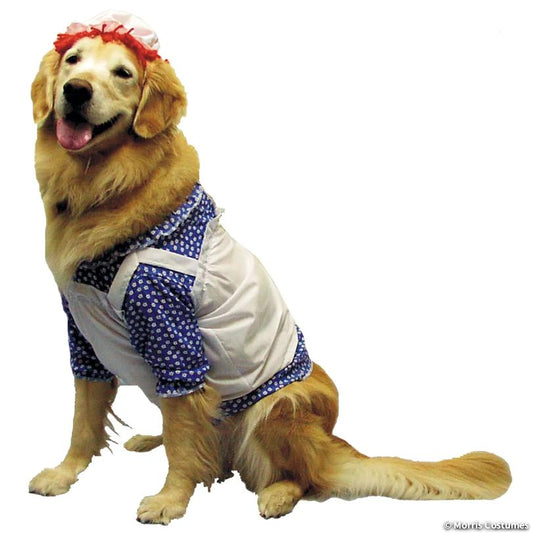 Golden retriever wearing the Raggedy Ann pet costume: blue floral dress, white apron and red-yarn-hair bonnet, side view