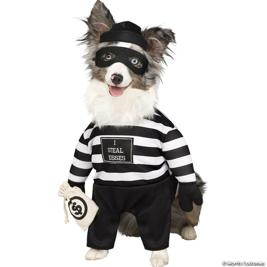 Robber Pup Pet Dog Costume, Large