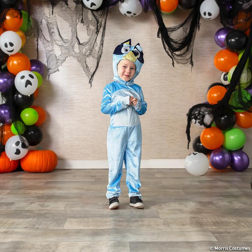 Toddler Classic Bluey Costume - 2T