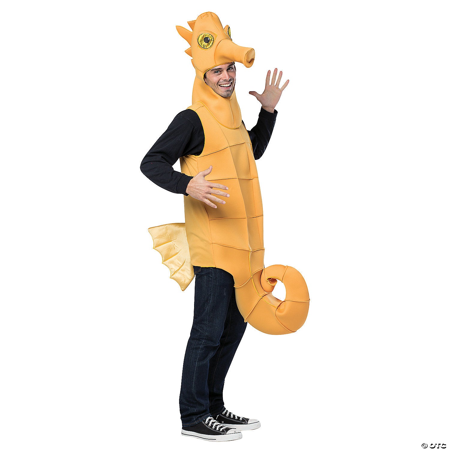 Adults Seahorse Costume