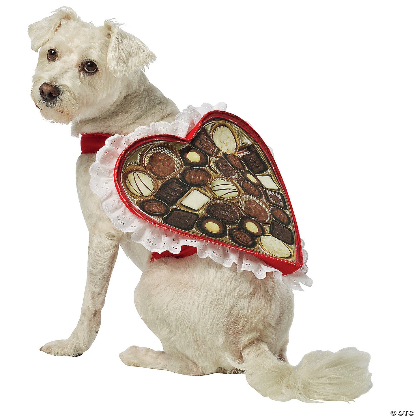 Chocolate Box Pet Costume Ex Small