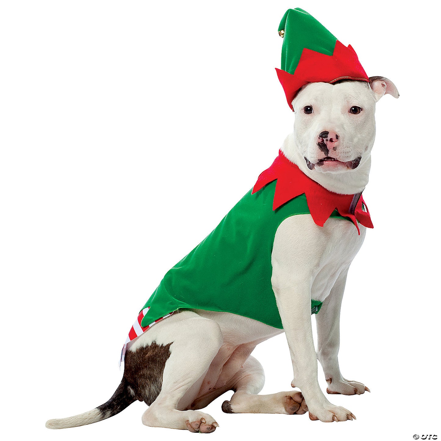 Elf Dog Costume