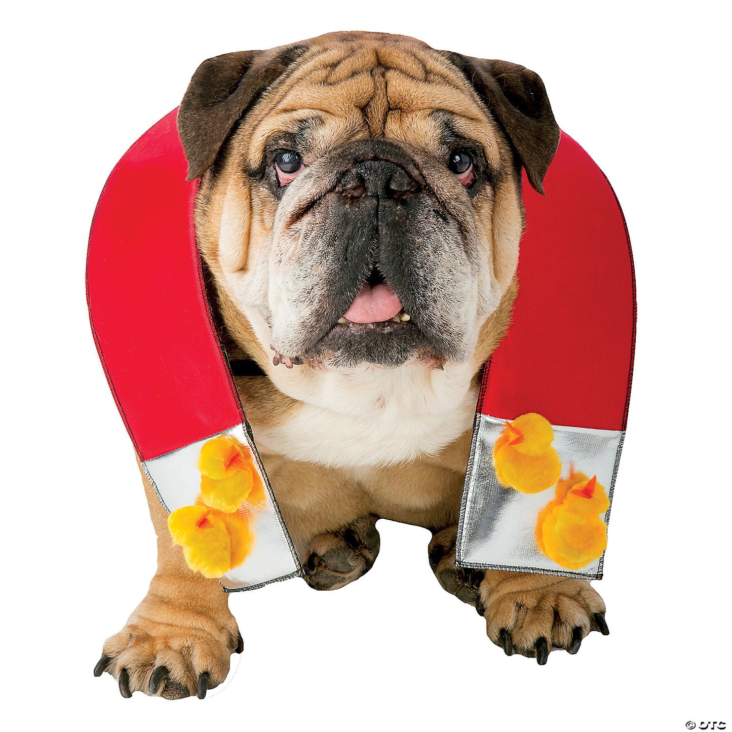 Chick Magnet Dog Costume Small/Medium